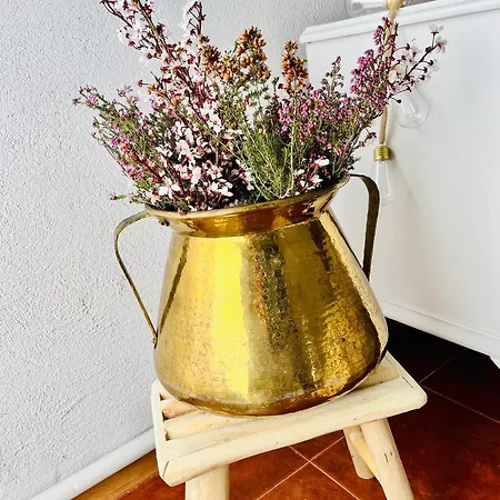 Eden Garden Guest house Ponferrada