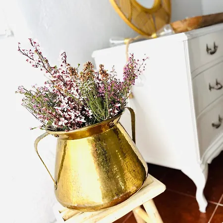 Casa de hóspedes Eden Garden *