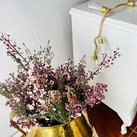 Casa de hóspedes Eden Garden