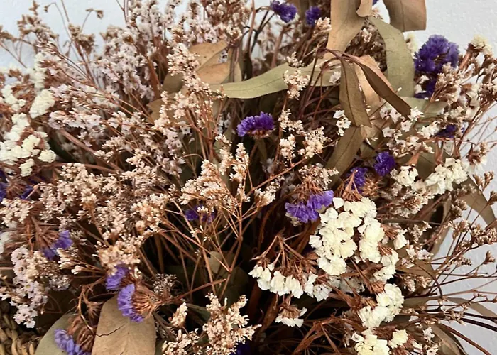 Eden Garden Gæstehus