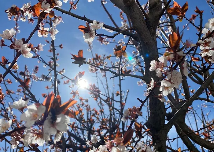 Gæstehus Eden Garden *