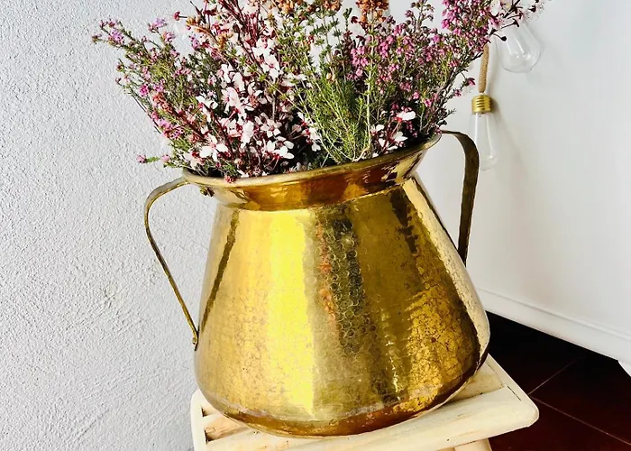 Eden Garden Casa de hóspedes Ponferrada