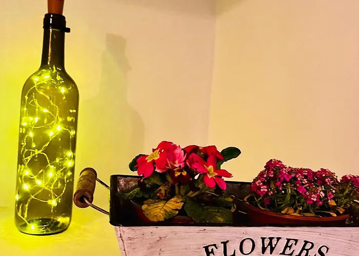 Eden Garden Gæstehus