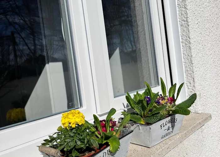 Eden Garden * Ponferrada