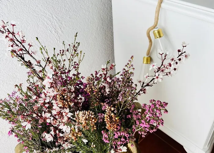 Casa de hóspedes Eden Garden